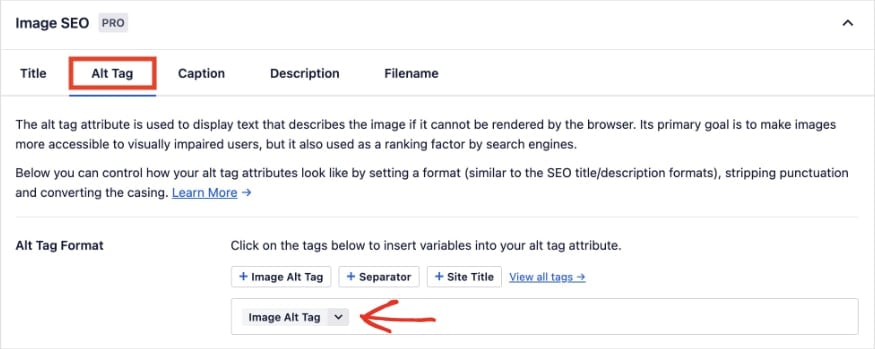 Image SEO settings for alt tag format.