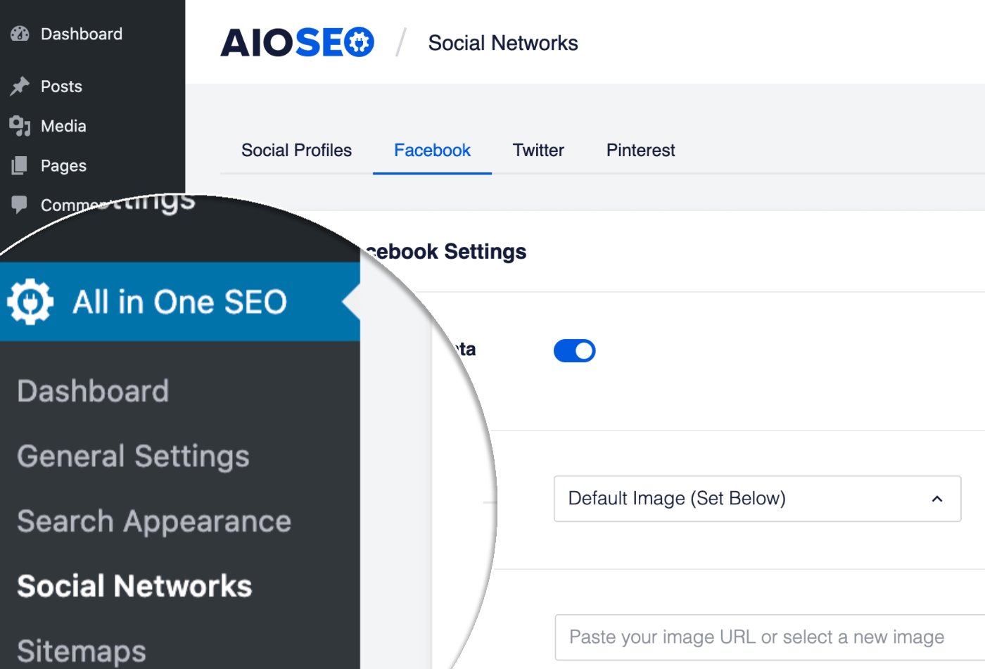 Social Networks menu item in All in One SEO