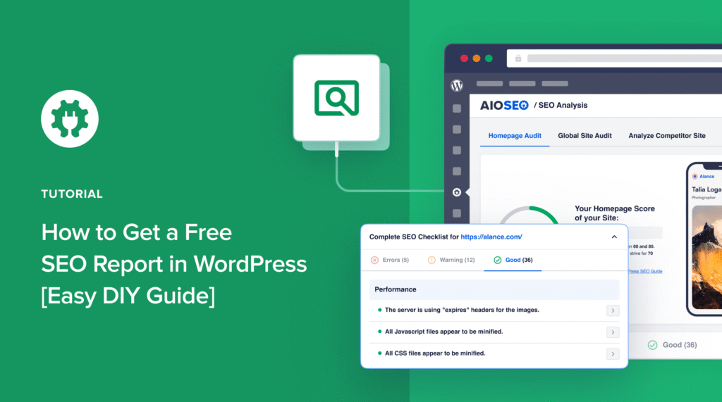 Wie Sie einen kostenlosen SEO-Bericht in WordPress erhalten.