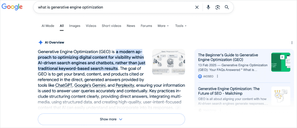 Google AI Overview about generative engine optimization.