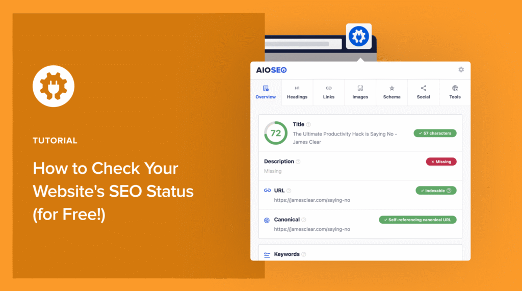 Wie man den SEO-Status einer Website überprüft.