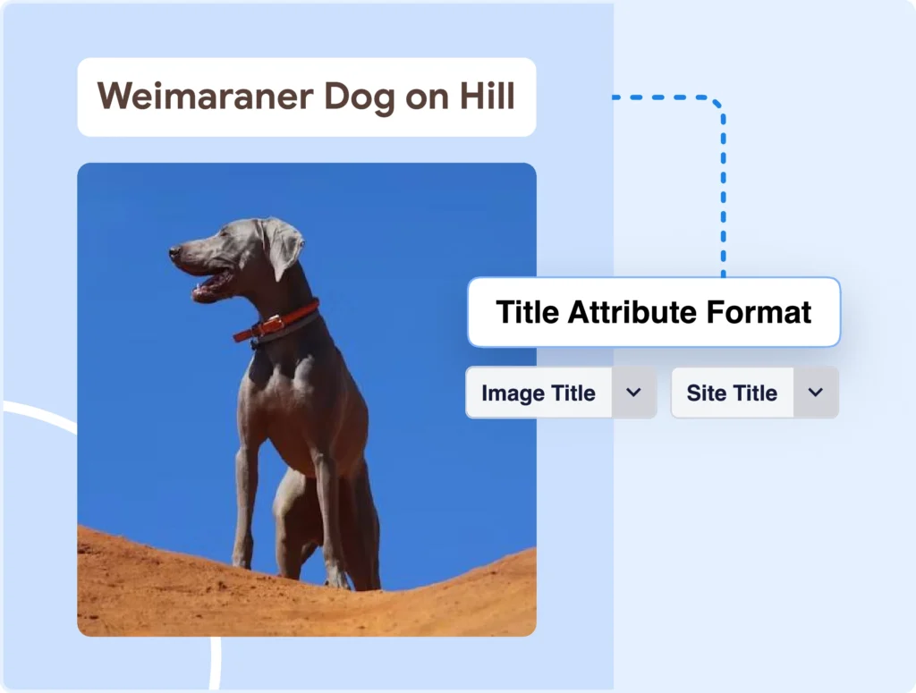 Automate the creation of image title tags, alt text, captions, and more.